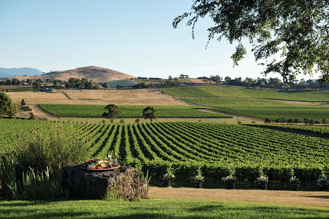 Small Group 6 Guests: Ultimate Yarra Valley Food And Wine - Mercedes Van - Pubs Perth 4