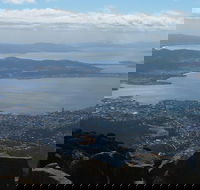 Mt Wellington Tour and MONA Admission - Pubs Perth