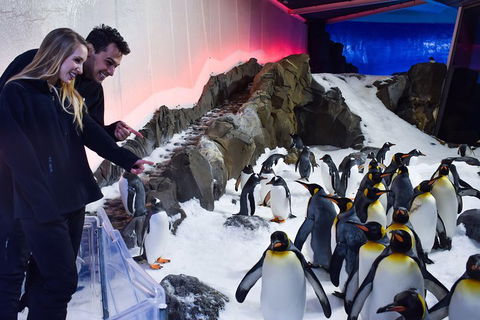 Penguin Passport At SEA LIFE Melbourne Aquarium - Pubs Perth 0