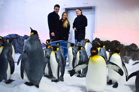 Penguin Passport At SEA LIFE Melbourne Aquarium - Pubs Perth 4