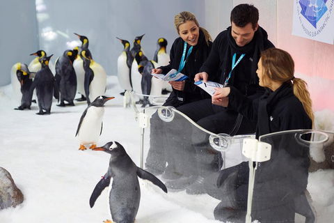 Penguin Passport At SEA LIFE Melbourne Aquarium - Pubs Perth 5