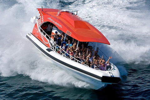 Adventure Rottnest Tour With Ferry & Adventure Cruise From Perth Or Fremantle - Pubs Perth 2