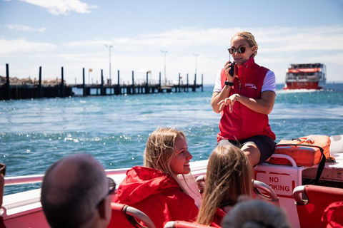 Adventure Rottnest Tour With Ferry & Adventure Cruise From Perth Or Fremantle - Pubs Perth 4