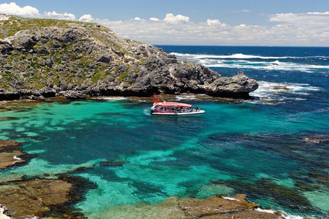Adventure Rottnest Tour With Ferry & Adventure Cruise From Perth Or Fremantle - Pubs Perth 5