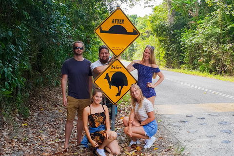 Cape Tribulation, Daintree Rainforest And Wildlife Tour - Pubs Perth 0