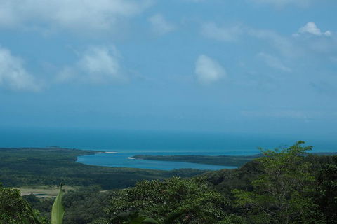 Cape Tribulation, Daintree Rainforest And Wildlife Tour - Pubs Perth 1