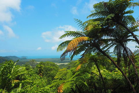 Cape Tribulation, Daintree Rainforest And Wildlife Tour - Pubs Perth 3
