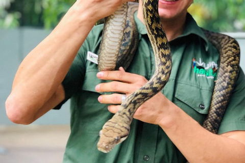 Virtual Interactive Australian Wildlife Tour With Private Guide-Wildlife Habitat - Pubs Perth 1