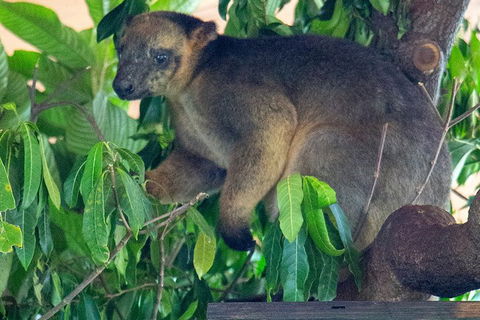 Virtual Interactive Australian Wildlife Tour With Private Guide-Wildlife Habitat - Pubs Perth 4
