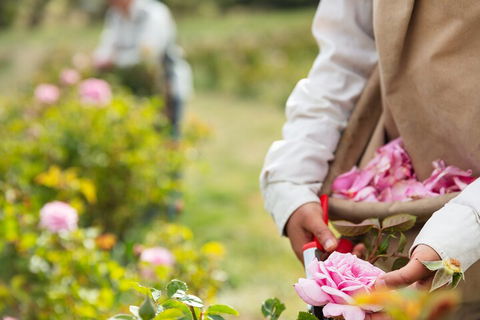 3 Days Adelaide Hills Wellness Escape - Pubs Perth 3