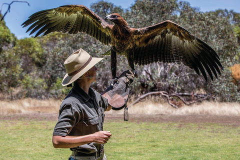 One Day Kangaroo Island Sip & See Tour With Return Ferry Transfers From Adelaide - Pubs Perth 0