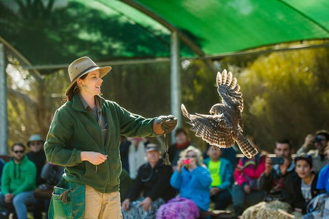 One Day Kangaroo Island Sip & See Tour With Return Ferry Transfers From Adelaide - Pubs Perth 3