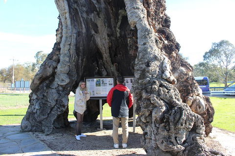 Barossa And Hahndorf Day Trip From Adelaide Including Wine Tasting And Lunch - Pubs Perth 1