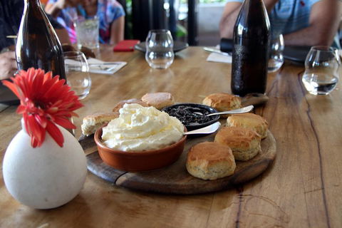 Small-Group Afternoon Cairns City Tour With Harbour Dinner Cruise - Pubs Perth 3