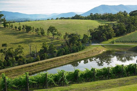 Yarra Valley Wine And Cider Tours By Classic Convertibles From Melbourne - Pubs Perth 1