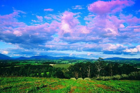Yarra Valley Wine And Cider Tours By Classic Convertibles From Melbourne - Pubs Perth 3