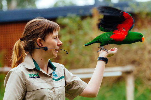 VIP Sanctuary Tour At Healesville Sanctuary Ticket - Pubs Perth 0