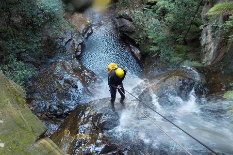 Full-Day Canyoning Experience At Stunning Empress Canyon - Pubs Perth 4