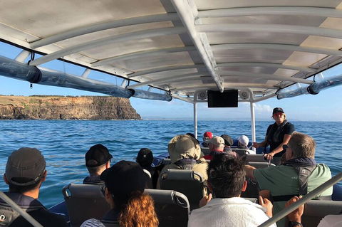Julian Rocks Byron Bay Cruise - Pubs Perth 4