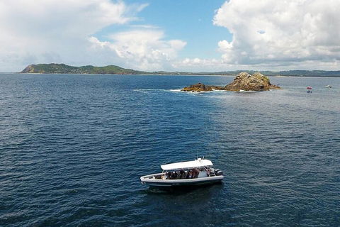 Julian Rocks Byron Bay Cruise - Pubs Perth 5
