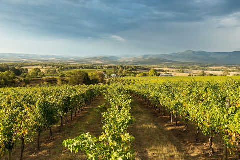 Yarra Valley Local Produce And Wine Tasting Tour - Pubs Perth 3