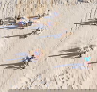 Unlimited Sandboarding - Pubs Perth