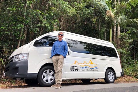 Sunshine Coast Hinterland Rainforest, Views And Montville Day Tour Inc. Lunch - Pubs Perth 1