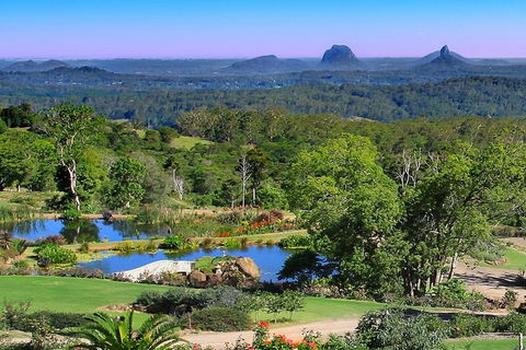Sunshine Coast Hinterland Rainforest, Views And Montville Day Tour Inc. Lunch - Pubs Perth 5