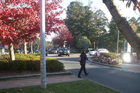 PRIVATE All-Day Blue Mountains Tour With Professional Guide For Up To 4 People - Pubs Perth 1