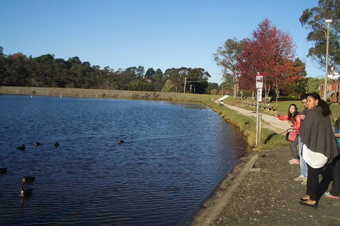 PRIVATE All-Day Blue Mountains Tour With Professional Guide For Up To 4 People - Pubs Perth 2