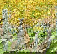 Margaret River Indulge and Discover Day Tour - Pubs Perth