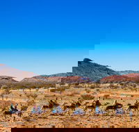 Alice Springs Camel Tour - Pubs Perth
