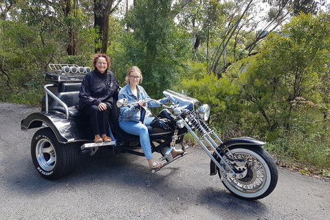 Blue Mountains 1-Hour Trike Tour Of Three Sisters - Pubs Perth 1