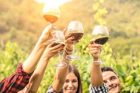 Adelaide Hills Day Tour. Winery Cellar Doors - Pubs Perth 0