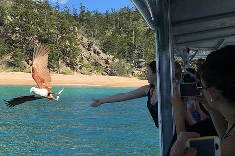 Aquascene Magnetic Island Discovery Tour - Pubs Perth 2
