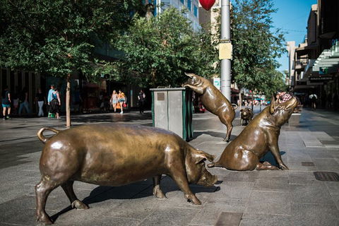 Guided Walking Tour In Adelaide - Pubs Perth 4