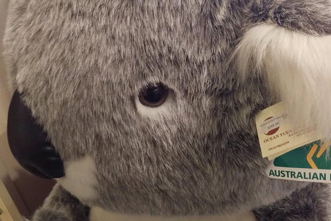 Ballarat Gold Fields Tour - Pubs Perth 5