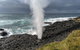 Erupting Blowholes And Ancient Rainforests With 'Personalised Sydney Tours' - thumb 1