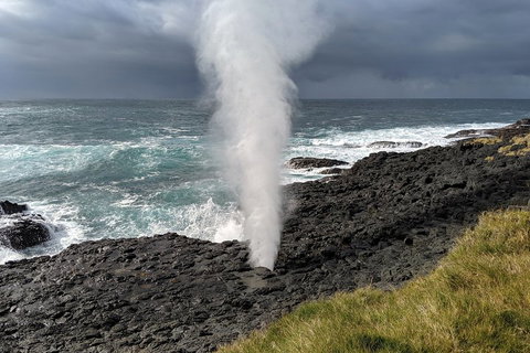Erupting Blowholes And Ancient Rainforests With 'Personalised Sydney Tours' - Pubs Perth 1