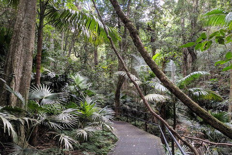 Erupting Blowholes And Ancient Rainforests With 'Personalised Sydney Tours' - Pubs Perth 2