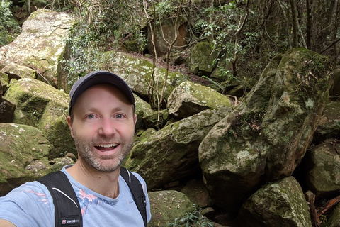 Australian Wildlife & Waterfalls Private Tour With 'Personalised Sydney Tours' - Pubs Perth 4