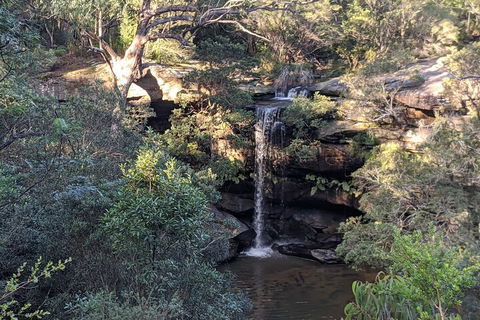 Australian Wildlife & Waterfalls Private Tour With 'Personalised Sydney Tours' - Pubs Perth 5