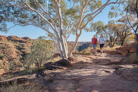 3-Day Tour From Uluru (Ayers Rock) To Alice Springs Via Kings Canyon - Pubs Perth 1