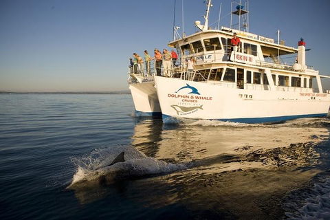 Jervis Bay Dolphin Watch Cruise - Pubs Perth 3