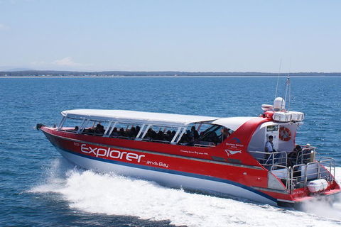 Whale Watching Jervis Bay - Pubs Perth 1
