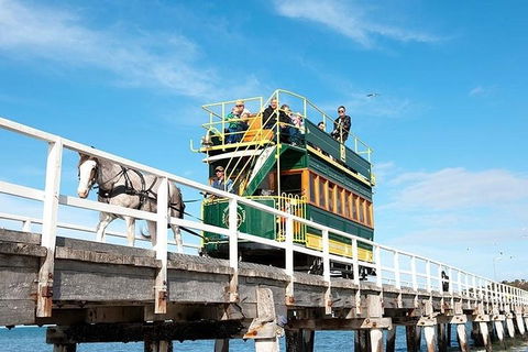 6 Days Adelaide All-Inclusive Touring Package - Pubs Perth 2