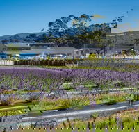 Private Hobart Discover South East Food and Scenic Tour - Pubs Perth