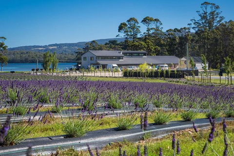 Private Hobart Discover South East Food And Scenic Tour - Pubs Perth 0