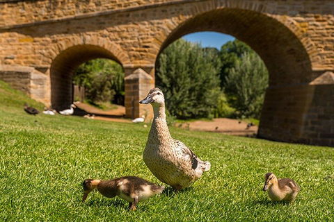 Richmond Historic Afternoon Tour From Hobart - Pubs Perth 1