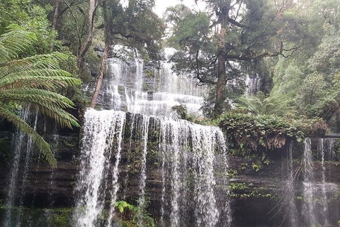 6-Day Hearty Tasmania Tour (Tasmania In A Circle) - Pubs Perth 0